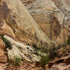 Amazing slick rock formations at the heart of Sheets Gulch