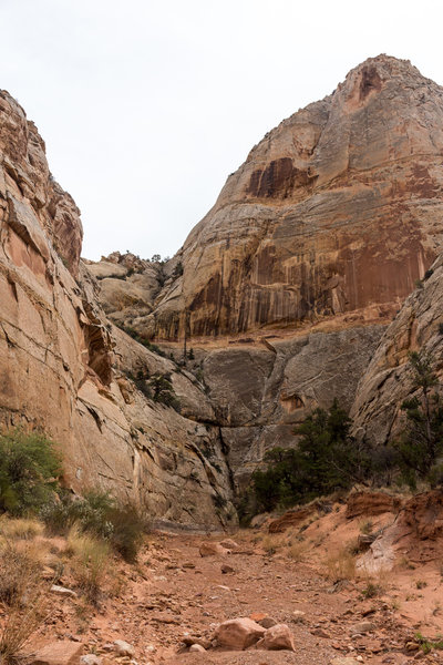 As you get deeper into Sheets Gulch, the canyon wall get higher and higher