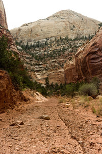 Most of Sheets Gulch is very rocky and sandy