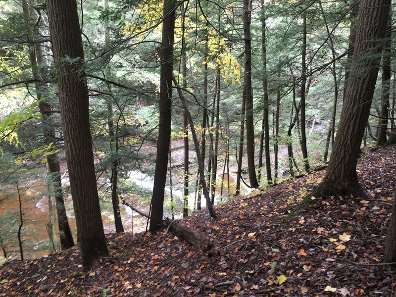 Above the falls