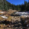 Looking south on a muddy/snowy Williams Lake Trail in October.