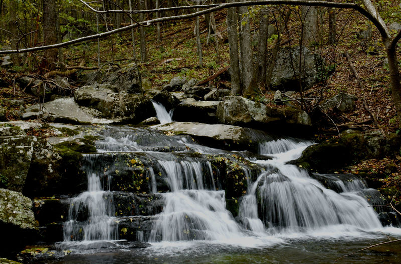 One of the many cascading falls as you descend Rose River Loop