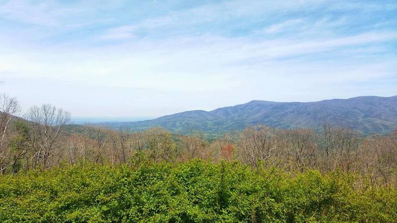 View from Cohutta Overlook along 52