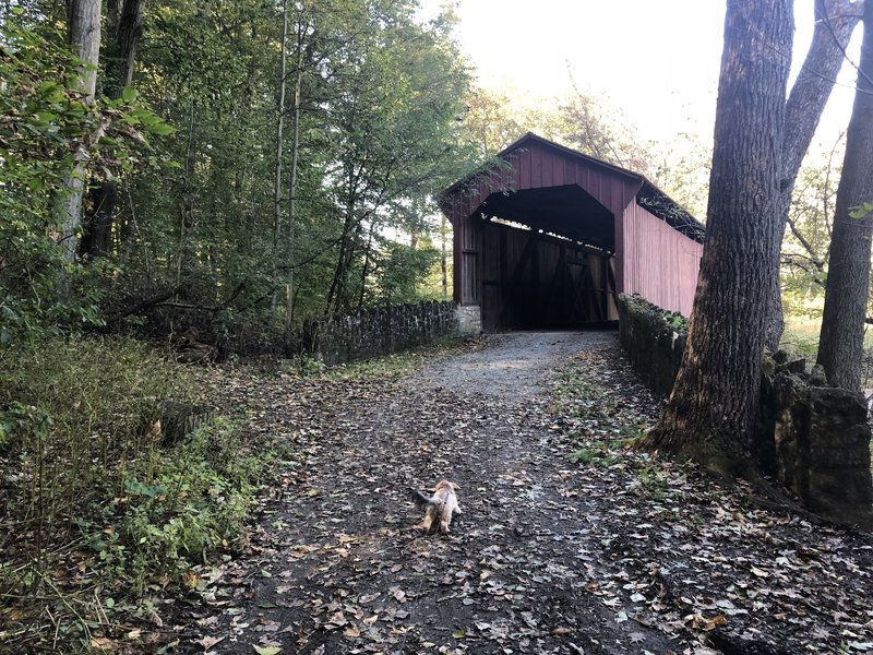 Covered bridge on the trail