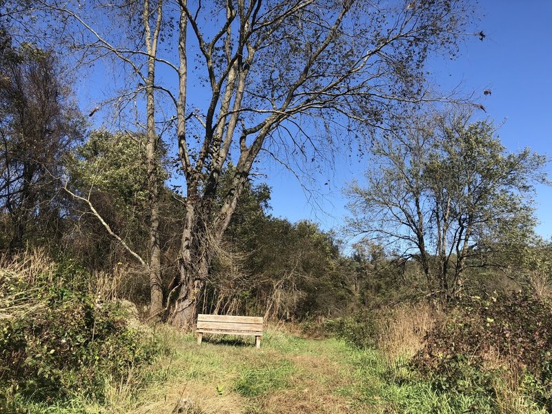 One of many benches along the trail