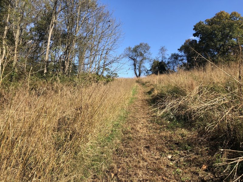 Some uphill sections and open fields