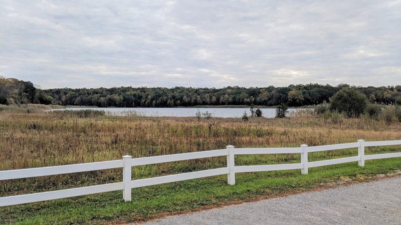 Looking off into the White Lake Conservation Area on a damp and cloudy day.