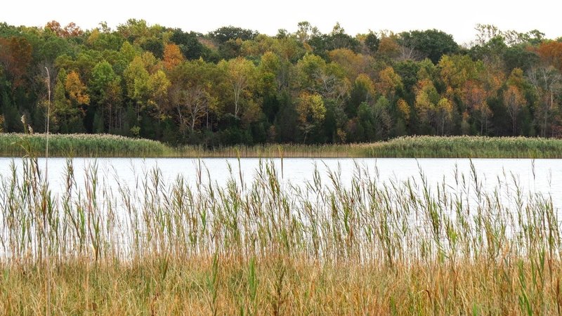 A calming and colorful view across White Lake in Hardwick, NJ