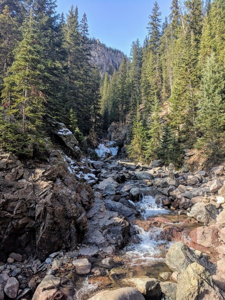 Looking back up the creek from the falls.