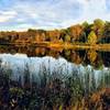 Coventry Pond in the golden light just prior to the sun setting.