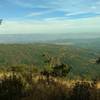 Views to the east stretch across the Santa Cruz Mountains and Santa Clara Valley, all the way to the Diablo Range in the distance when approaching the top of Knibbs Knob.