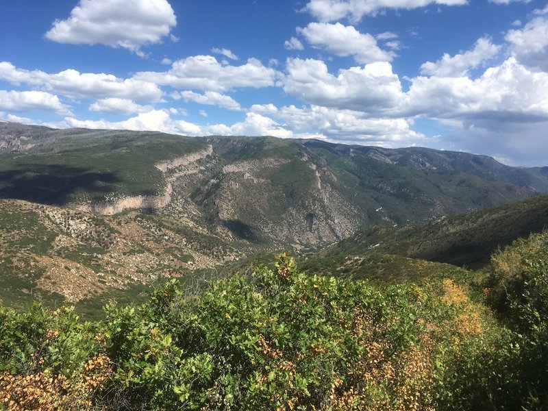 Mansfield Ditch looking toward Main Elk before the descent