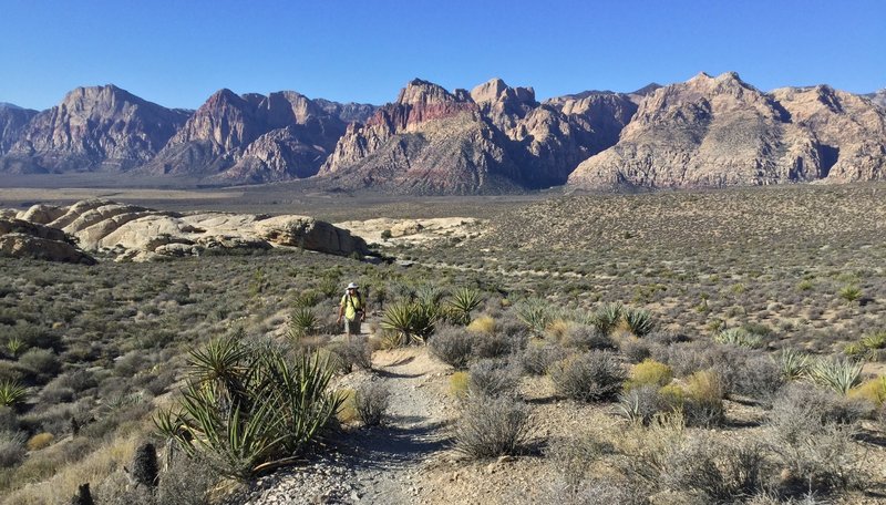 On trail to Turtlehead Mountain.