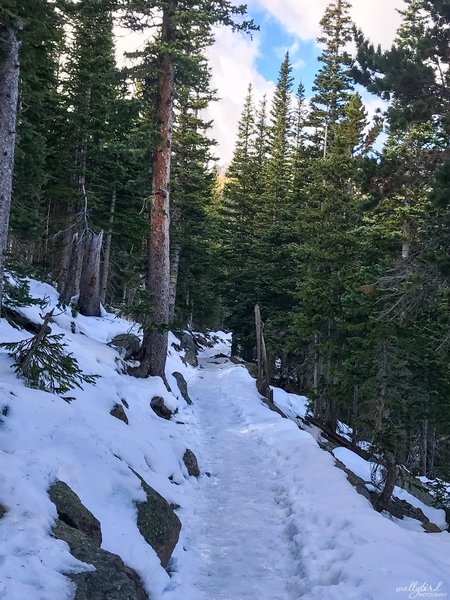 October 25, 2018 - The Flattop Mountain Trail turns into this. Packed powder with ice. BRING CRAMPONS/TRACTION!