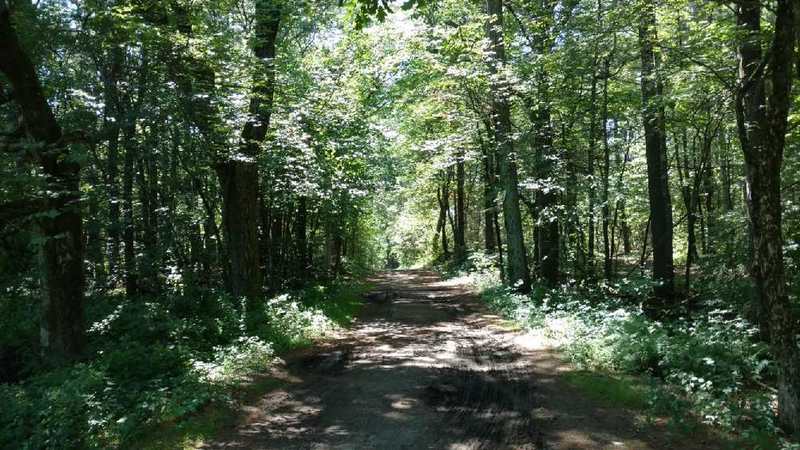 Lantern Loop/Old North Road.