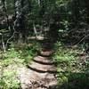 Singletrack section of trail near Deer Run.