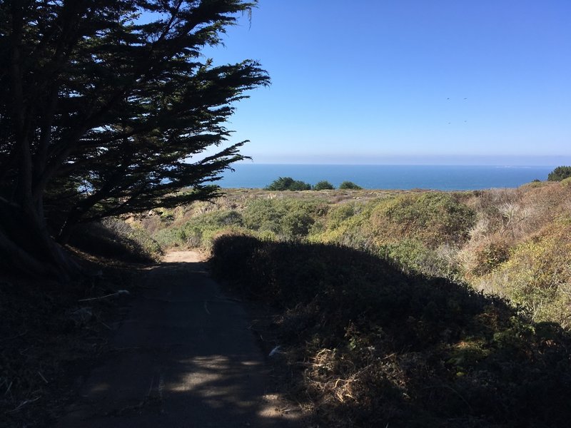 Top of trail to Greyhound Rock.