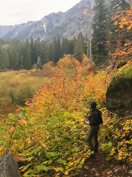 Lots of fall colors along the trail.