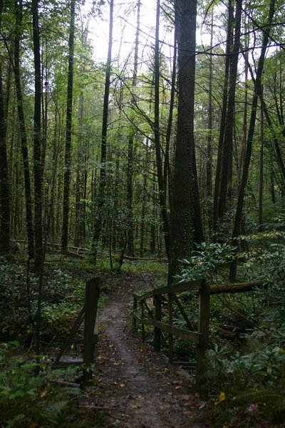 BSA footbridge on Pinhoti 1