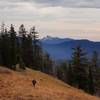 Descending the spur trail with Mount Thielsen in the distance