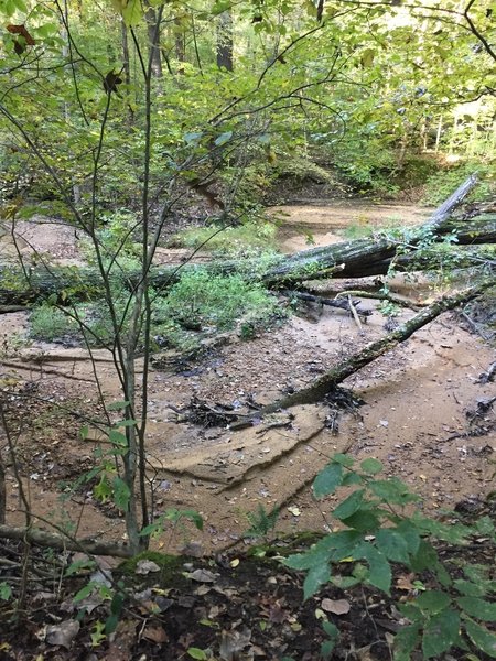 Small creek flows after heavy rain.