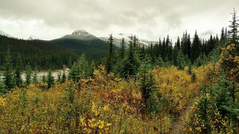 Fall color and snow on the mountains along the North Boundary Trail as it follows the Smoky River in September.