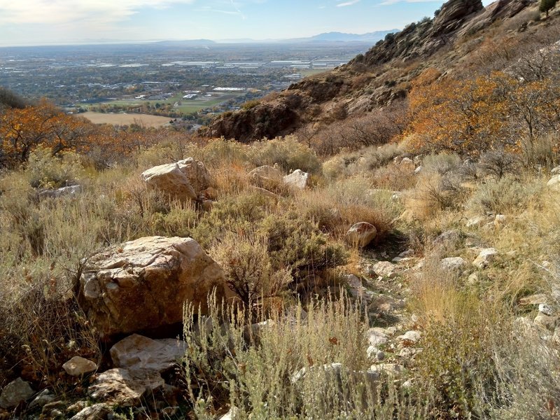 Looking down to the Salt Lake Valley from the Jump Off Canyon Waterfall Trail.