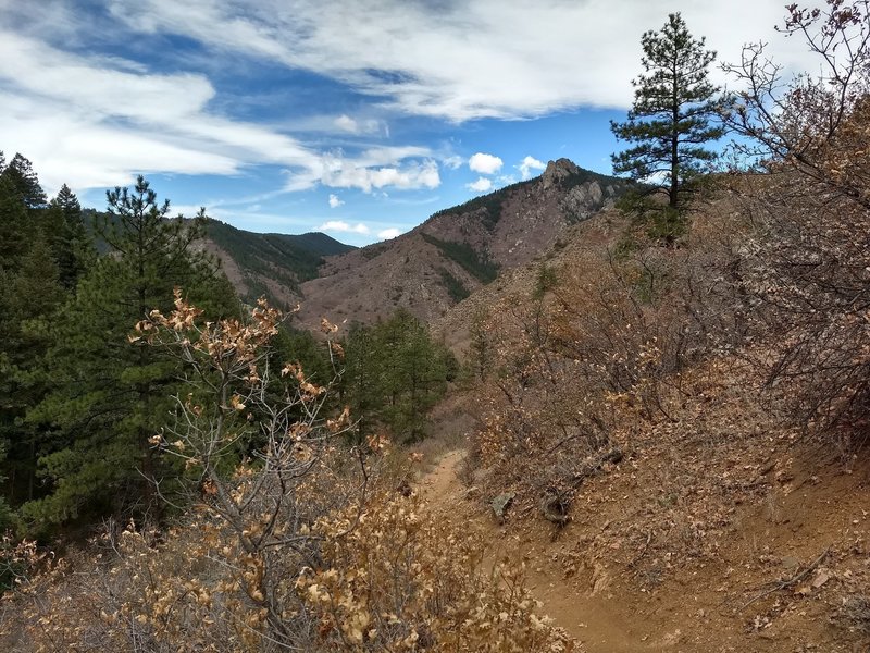 The trail leads mostly through pine forest however it has a couple points where the scenery breaks up to some great landscapes.