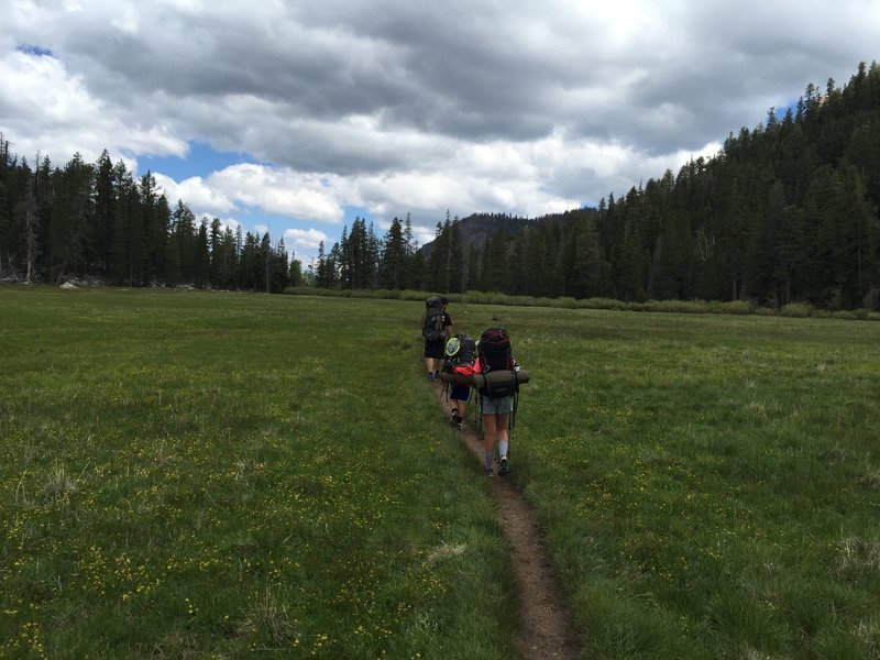 Big Meadow, heading north back towards the trailhead