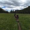 Big Meadow, heading north back towards the trailhead