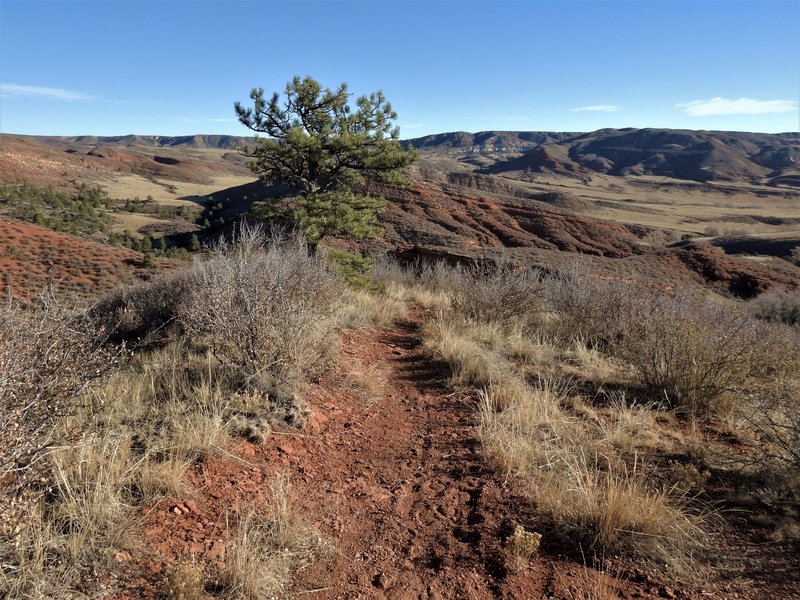 Trail at the top of the hill.