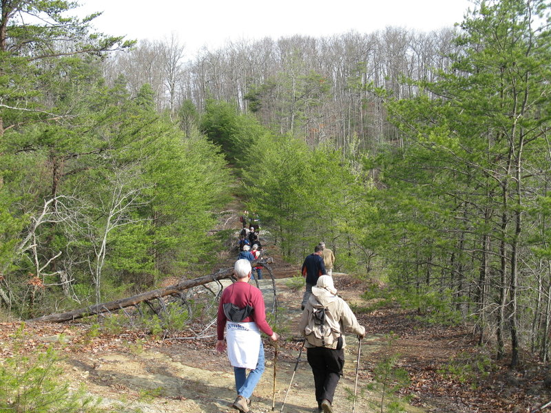 Crossing "The Narrows" on a Natural Bridge State Park Group Hike in Spring of 2013.