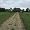 The levee trail is all a fine to small rock surface.