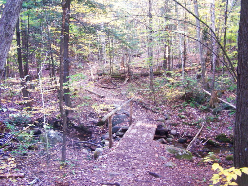 Bridge in fall.