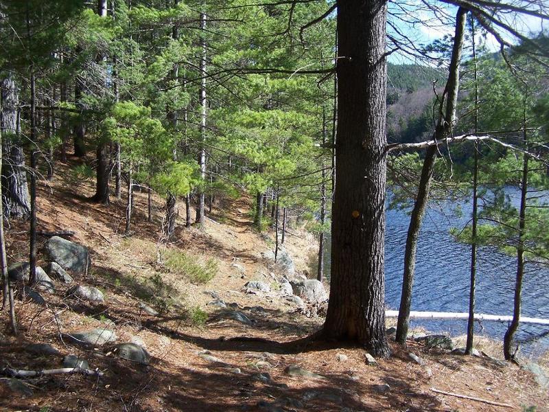 Along Long Swing Trail at Glidden Marsh.