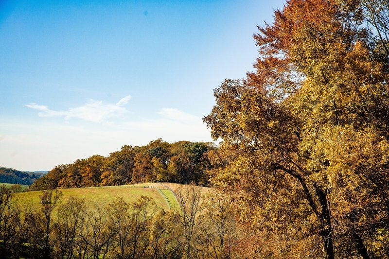 Overlooking horse pasture.