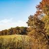 Overlooking horse pasture.