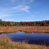 Duck Pond from the Dam