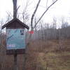 Series of Trails At Begining of NY 23 / Elm Ridge Trail