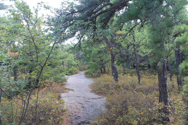 Trail to Sunset Rock