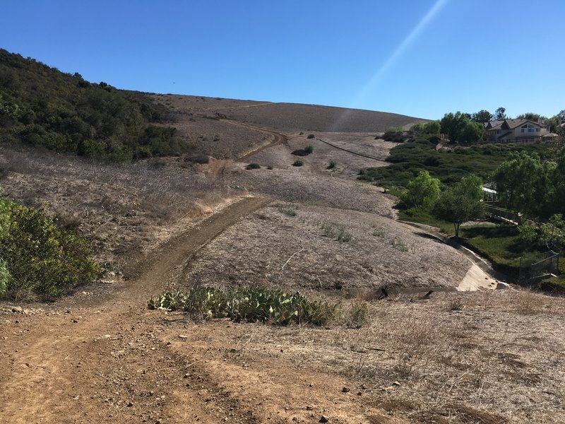 The trail meanders across the hillside