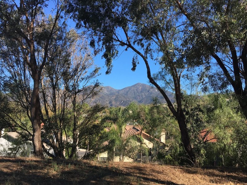 View of Santiago Peak.