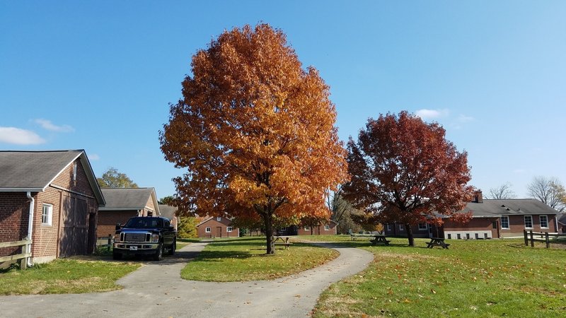 Fall Colors at the Saddle Barn