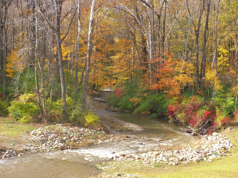 Mt. Gilead State Park - creek at the end of the dam.