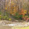 Mt. Gilead State Park - creek at the end of the dam.