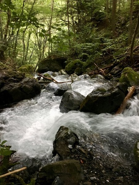 Rapids near Okutama.