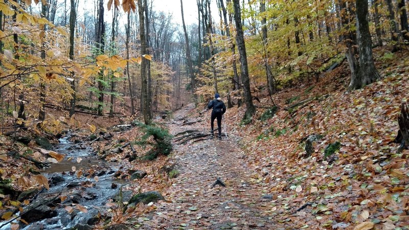 Passing by a creek.