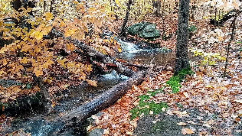 Nice creek in fall.