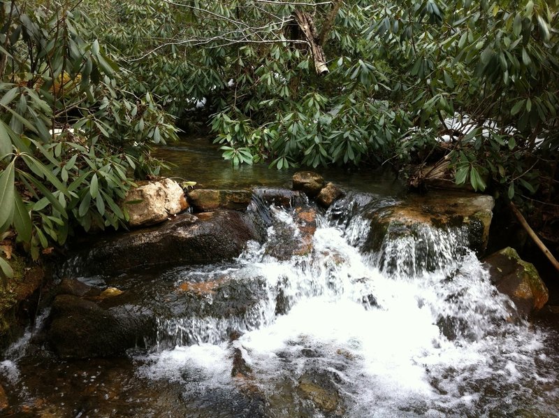 A small waterfall in Detweiler Run