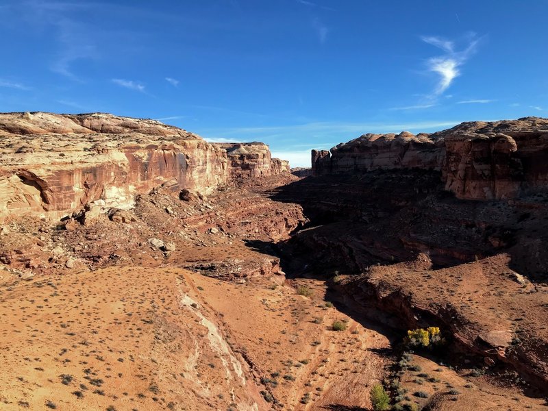 Looking down into Horseshoe Canyon